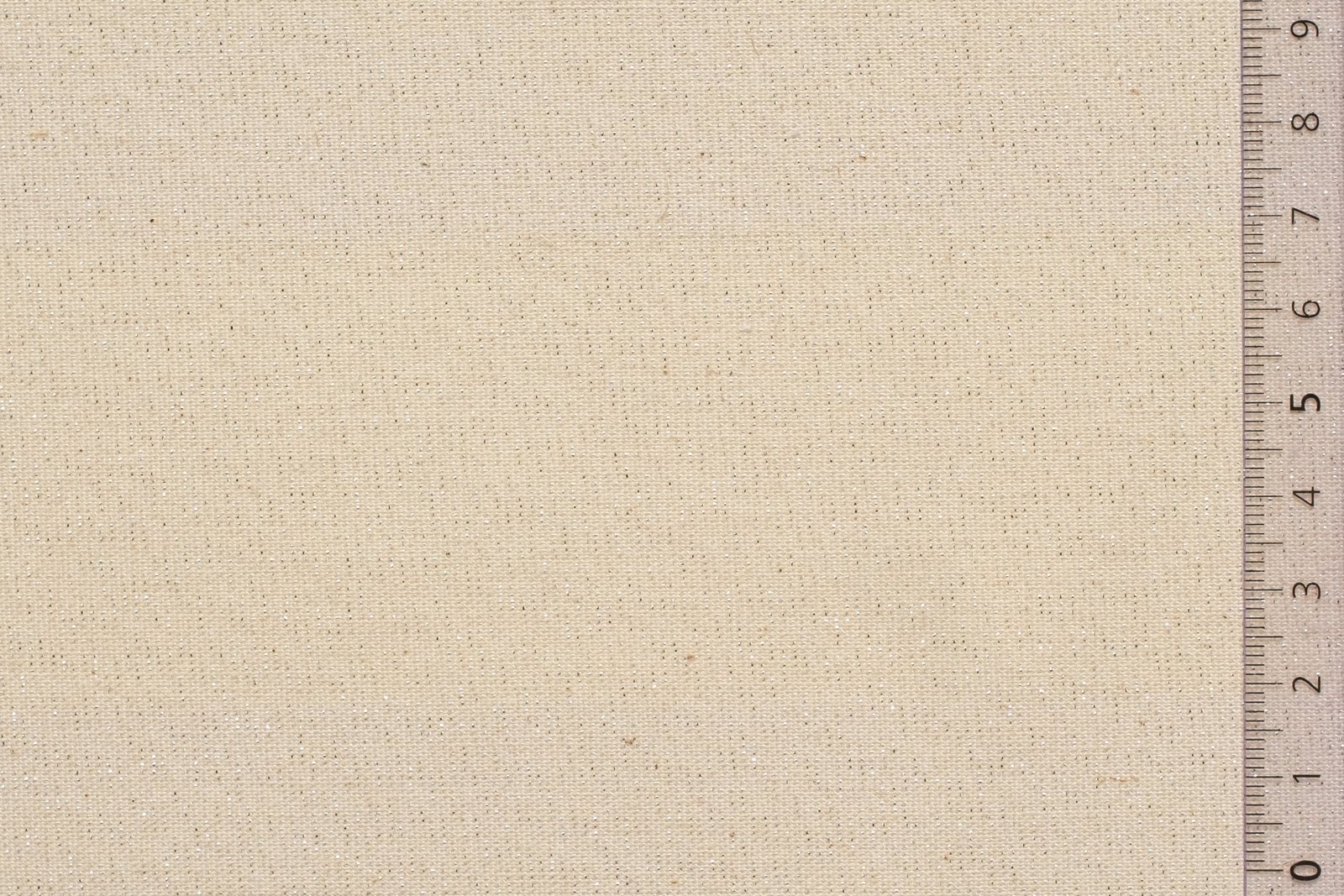 08KAB000ECRSILxxxCOTLUR[CABOT](SILVER ECRU)F